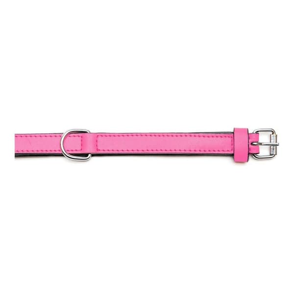 Koiran kaulapanta Gloria Fuksia (40 x 2 cm)