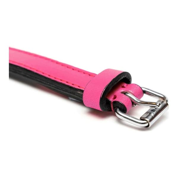 Koiran kaulapanta Gloria Fuksia (40 x 2 cm)
