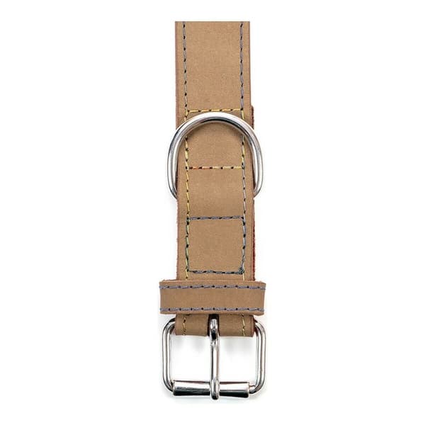 Hundehalsbånd Gloria Oasis Hvid (50 x 2,1 cm)