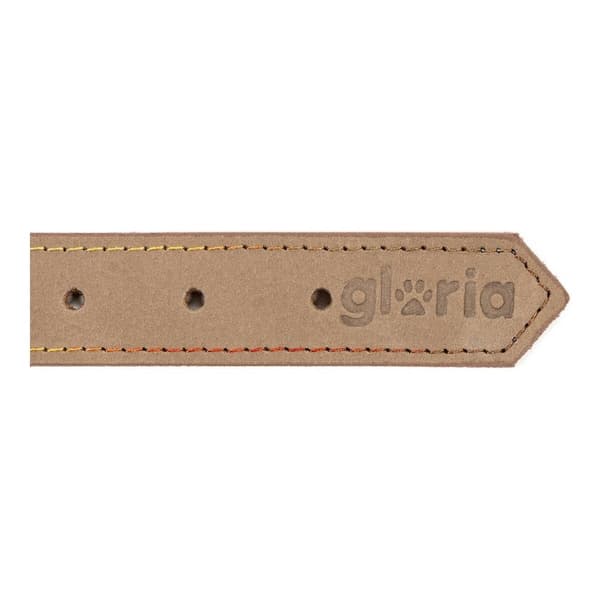 Hundehalsbånd Gloria Oasis Hvid (50 x 2,1 cm)
