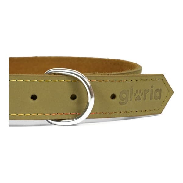 Hundehalsbånd Gloria Oasis Grønn (50 x 2,1 cm)