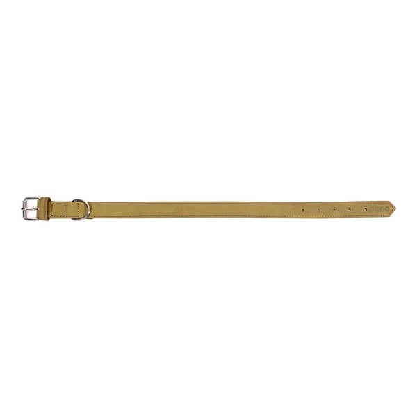 Hundehalsbånd Gloria Oasis Grønn (50 x 2,1 cm)