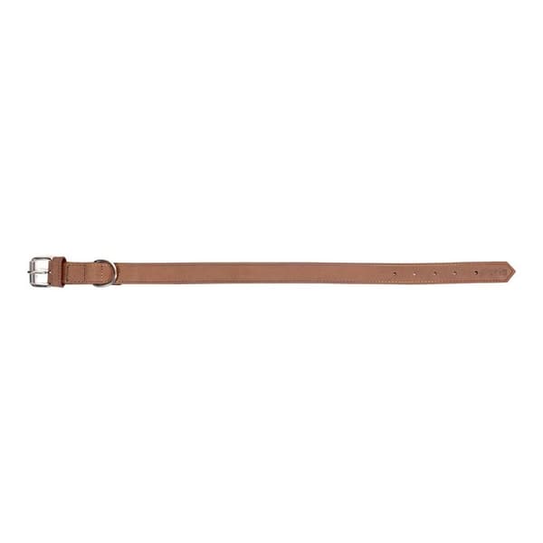 Hundehalsbånd Gloria Oasis Brun (50 x 2,1 cm)