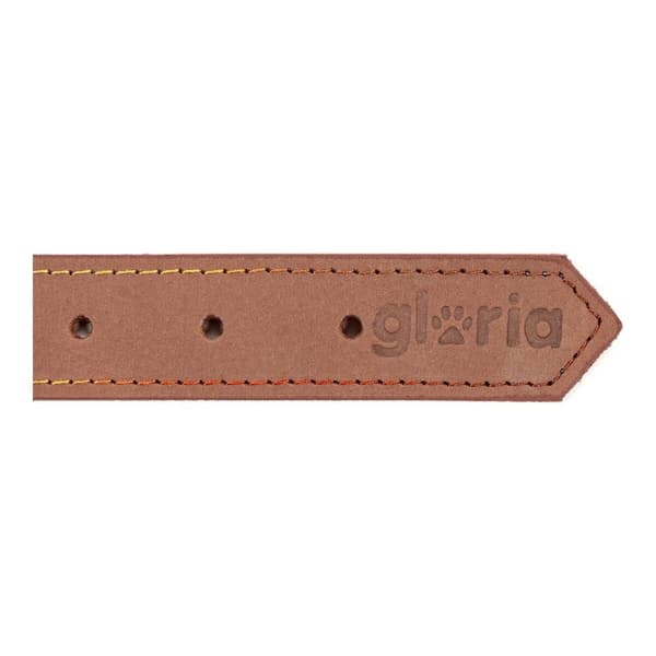 Hundehalsbånd Gloria Oasis Brun (50 x 2,1 cm)
