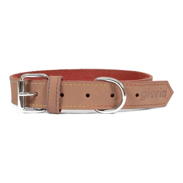 Hundehalsbånd Gloria Oasis Brun (50 x 2,1 cm)