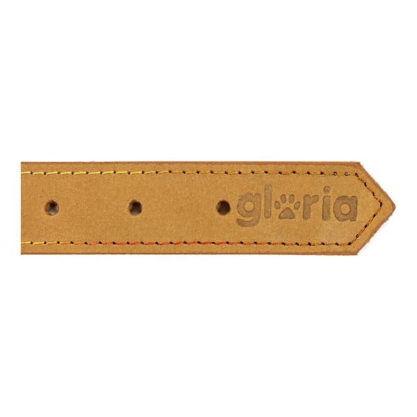 Koiran kaulapanta Gloria Oasis Keltainen (50 x 2,1 cm)