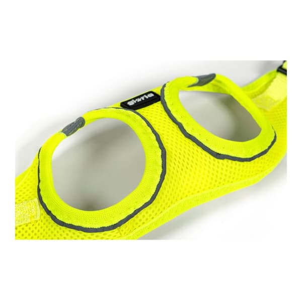 Koiran valjaat Gloria Air Mesh Star Keltainen Koko XXS (24-26 cm)