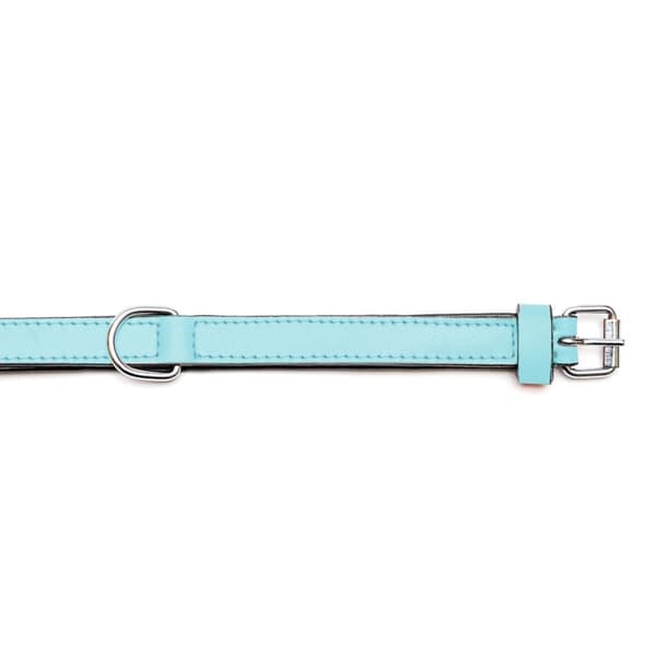 Hundhalsband Gloria 30 cm Vadderad Läder Blå