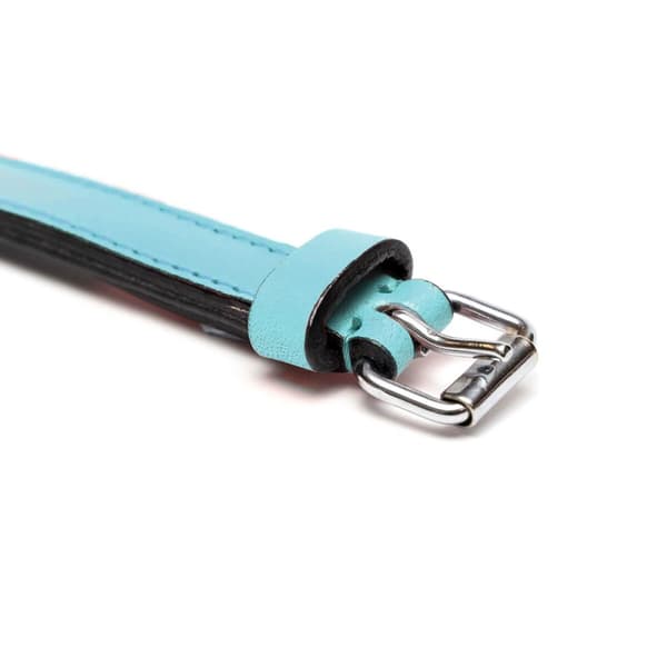 Hundhalsband Gloria 30 cm Vadderad Läder Blå