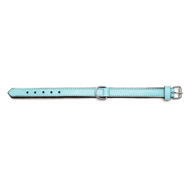 Hundhalsband Gloria 30 cm Vadderad Läder Blå