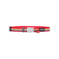 Miniatyrbillede 2 af 4: Hundehalsbånd Red Dingo STYLE RAINBOW 15 mm x 24-36 cm