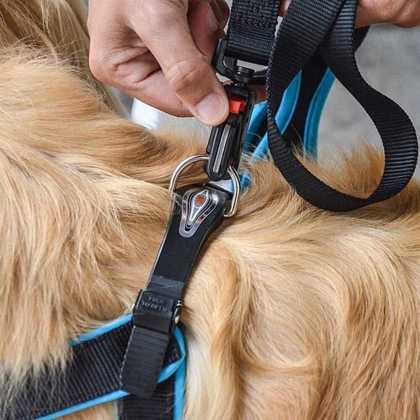 Ferplast Agila Fluo 8 hundsele