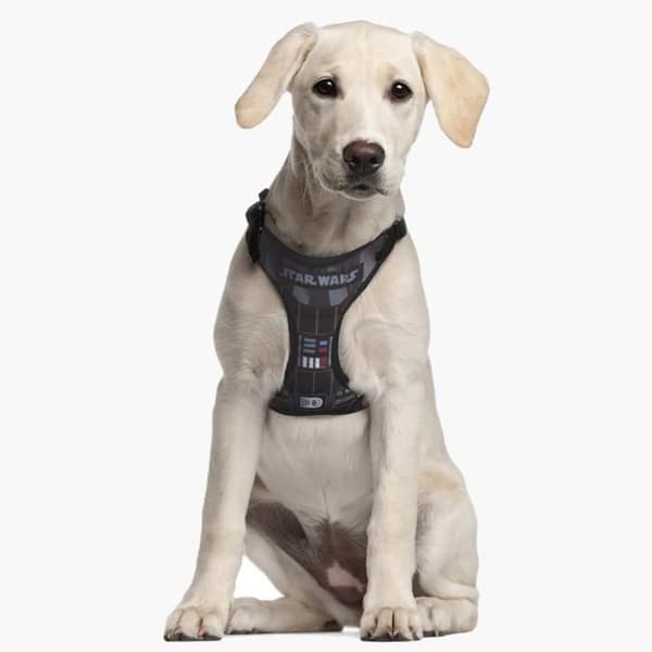 Star Wars Darth Vades Hundsele Storlek S/M