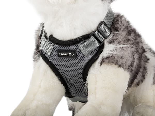 Hundsele / Sele för Hund - Tryckfri