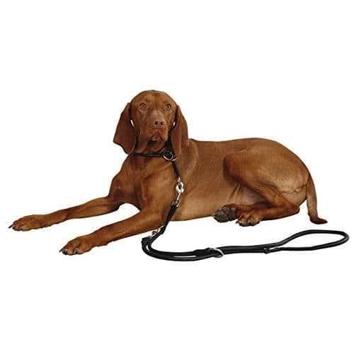 KERBL Roma Dog Choke Halsband Svart 50 cm 8 mm 81091