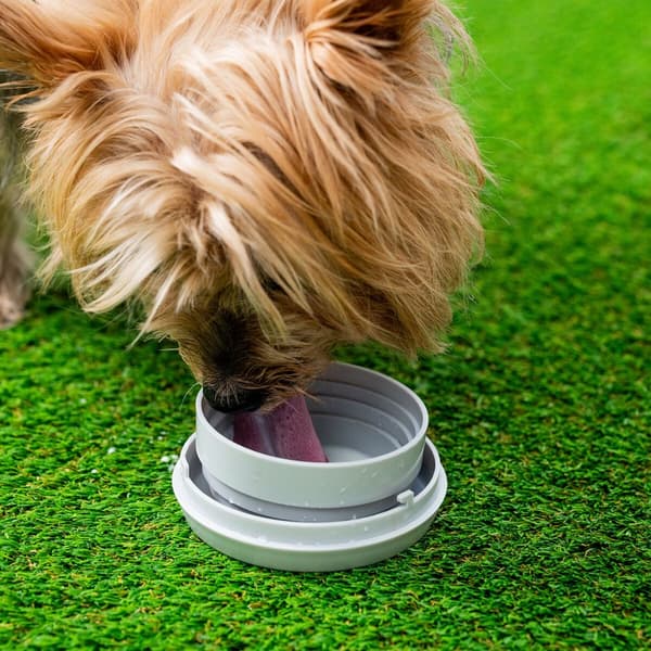 Udtrækkelig hundesnor 6-i-1 Leashic InnovaGoods