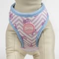 Miniatyrbild 6 av 10: Hundsele Barbie Rosa XS/S