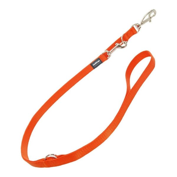Koiran talutushihna Red Dingo Oranssi (2,5 x 200 cm)
