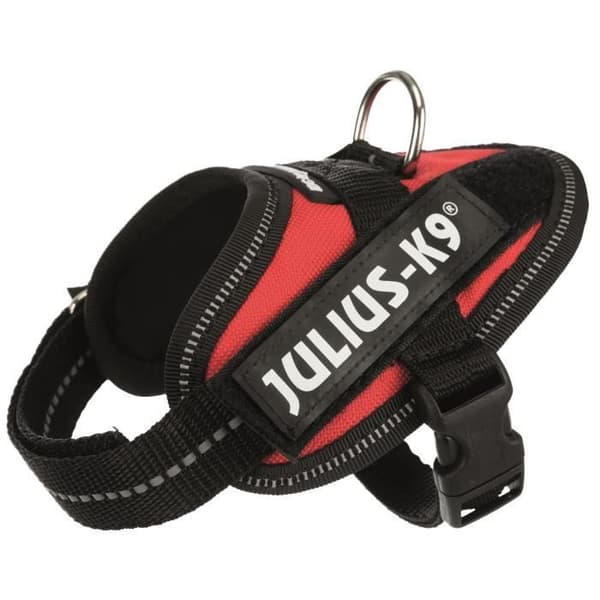 JULIUS K9 Kraftsele IDC Baby 1 - XS: 29–36 cm - 18 mm - Röd - För hundar