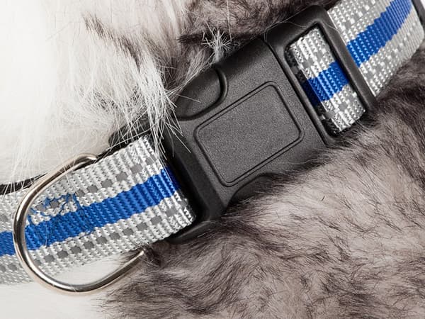 Reflex Halsband för Hund & Katt - S