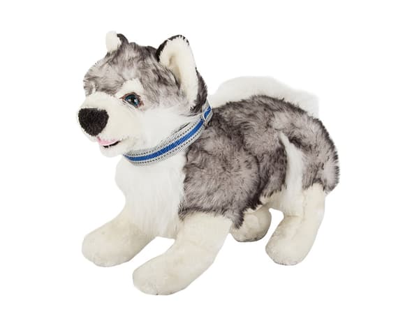 Reflex Halsband för Hund & Katt - S