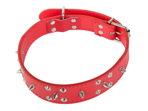 Hundhalsband med Nitar - Halsband för Katter och Hundar - XL