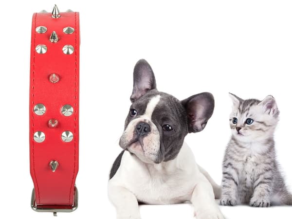 Hundhalsband med Nitar - Halsband för Katter och Hundar - XL