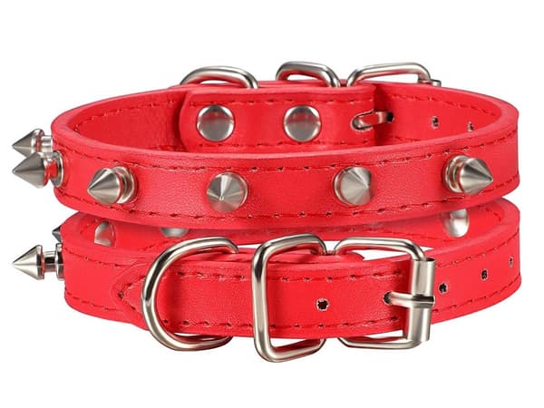 Hundhalsband med Nitar - Halsband för Katter och Hundar - L