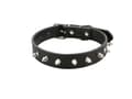 Miniatyrbilde 10 av 10: Hundhalsband med Nitar - Halsband för Katter och Hundar - L