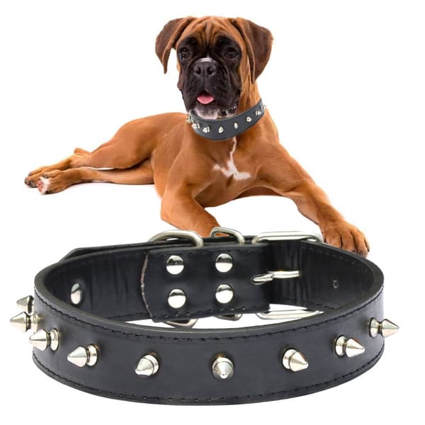 Hundhalsband med Nitar - Halsband för Katter och Hundar - L