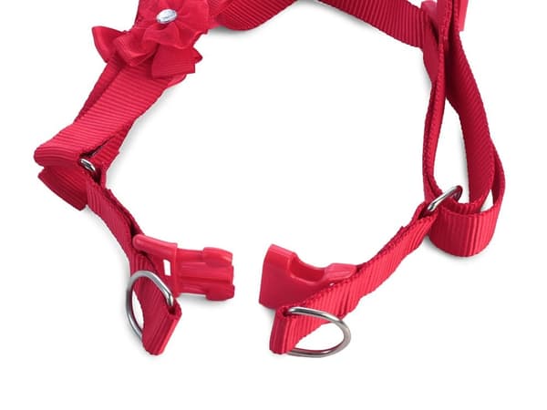 Hundsele med Koppel / Hundkoppel - 124 cm