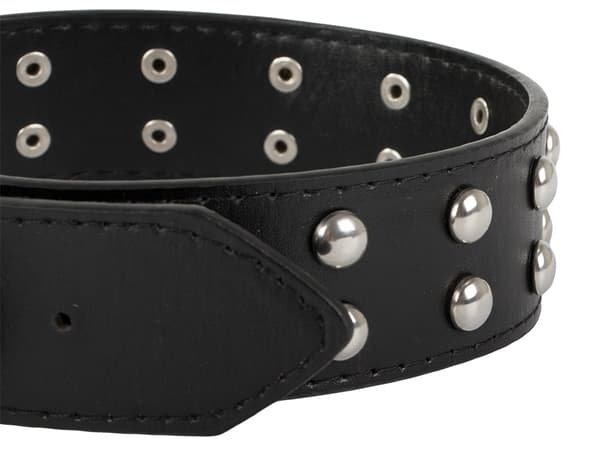 Hundhalsband - Dubbar - L - 39-50cm