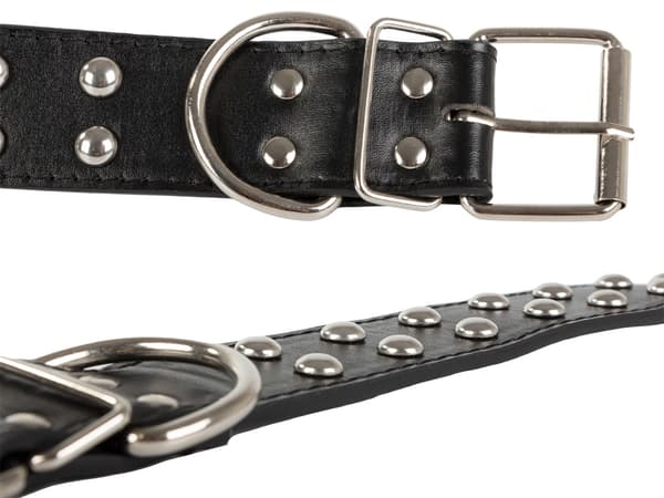 Hundhalsband - Dubbar - L - 39-50cm