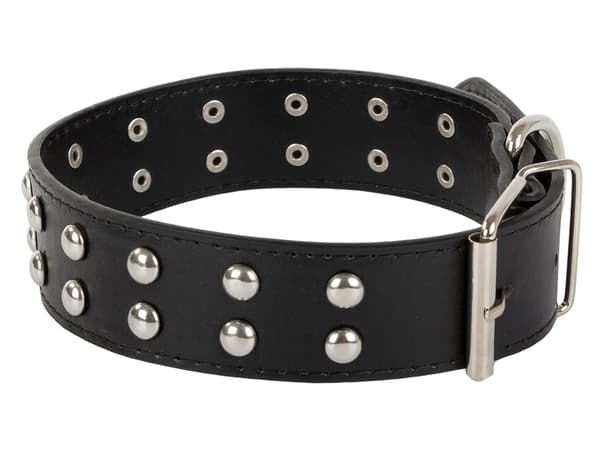 Hundhalsband - Dubbar - L - 39-50cm