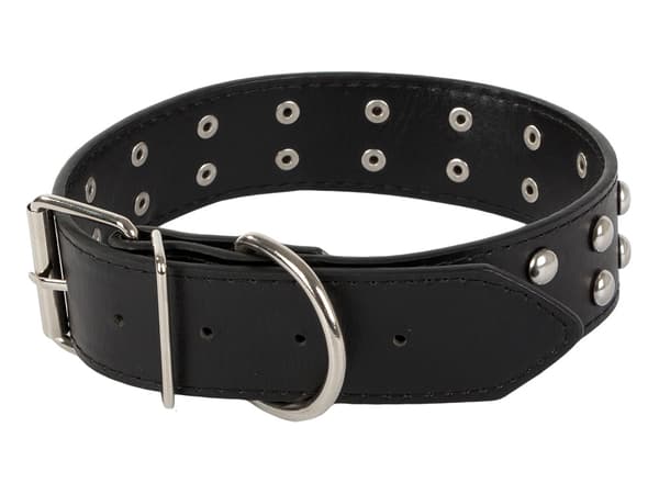 Hundhalsband - Dubbar - L - 39-50cm