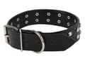Miniatyrbillede 8 af 10: Hundhalsband - Dubbar - L - 39-50cm