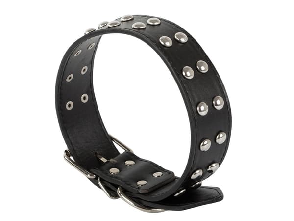 Hundhalsband - Dubbar - L - 39-50cm