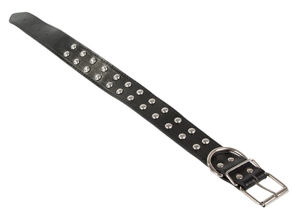 Hundhalsband - Dubbar - L - 39-50cm