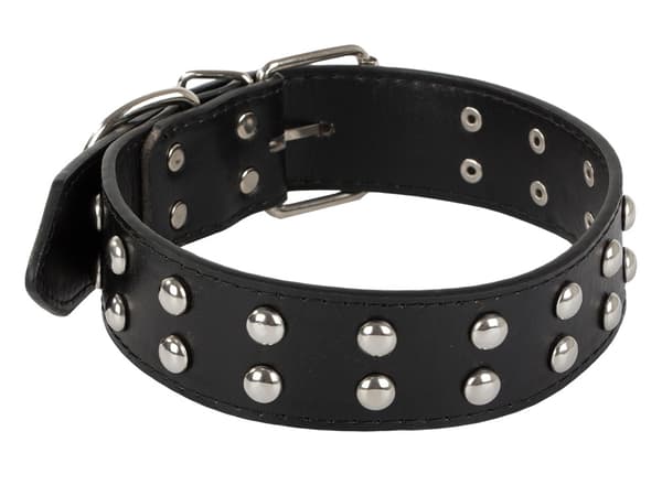 Hundhalsband - Dubbar - L - 39-50cm