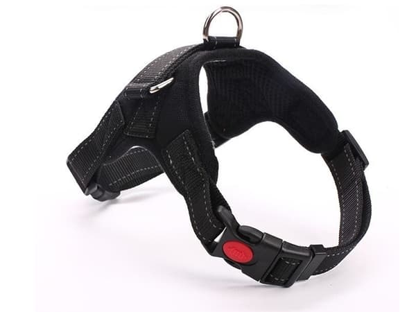 Hundsele / Sele för Hund - Reflex