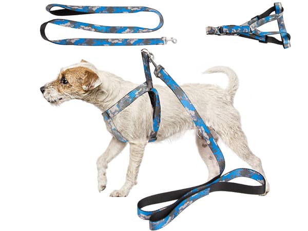 Hundsele med Koppel / Hundkoppel - 124 cm