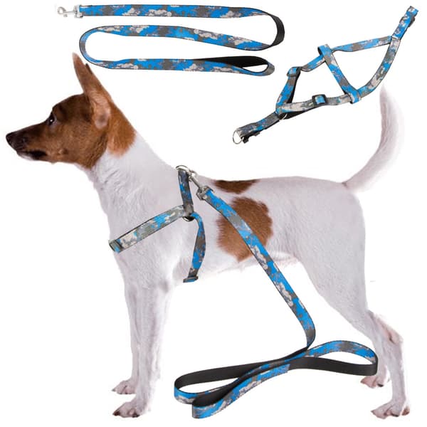 Hundsele med Koppel / Hundkoppel - 124 cm