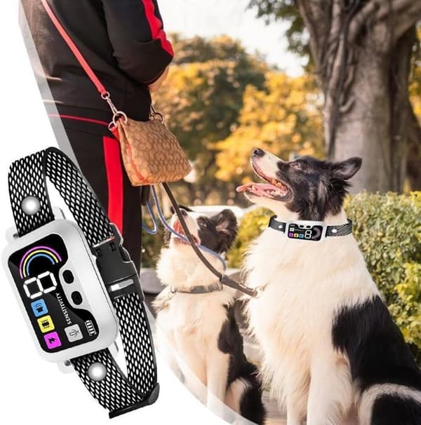 Anti Bark Halsband för hundar - Anti Bark Träningshalsband - Vit, vattentätt, uppladdningsbart - för stora små hundar
