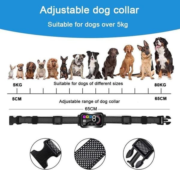Anti Bark Halsband för hundar - Anti Bark Träningshalsband - Vit, vattentätt, uppladdningsbart - för stora små hundar