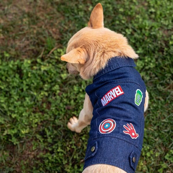 Hundejakke Marvel - S