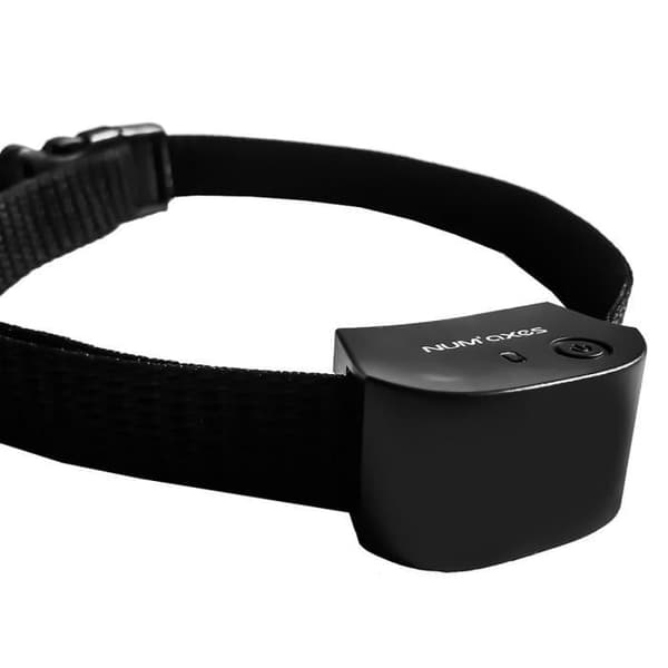 Extra anti-flykthalsband för katter och små hundar - NUMAXES CANIFUGUE - Svart - Mått: 44x28x25mm
