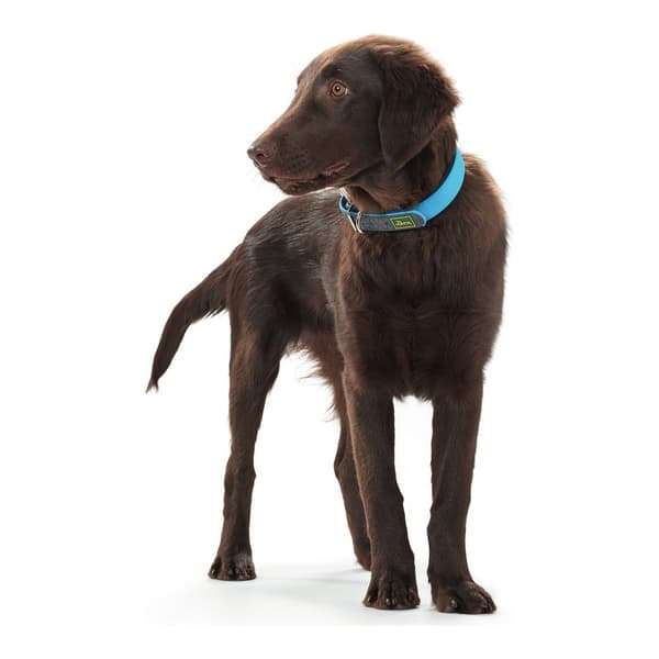 Hundhalsband Hunter Convenience Turkos