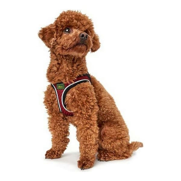 Hundsele Hunter Hilo-Comfort Röd M/L (58-63 cm)
