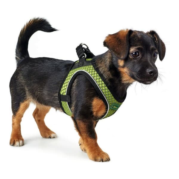 Hundsele Hunter Hilo-Comfort Lime S/M (48-55 cm)