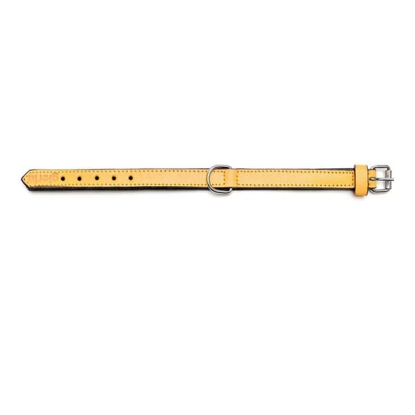 Hundhalsband Gloria Vadderad Gul (45 x 2 cm)